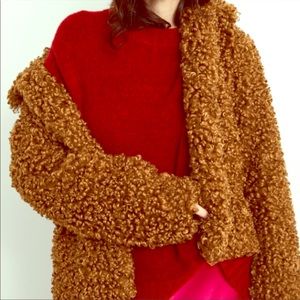 Zara Sleek Teddy Coat